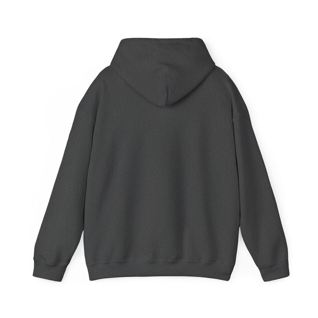 PINK HOODIE